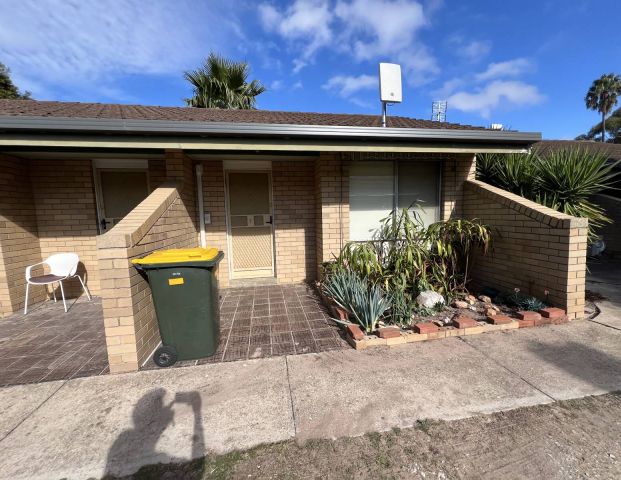 Comfortable Studio-Style Living - Photo 1