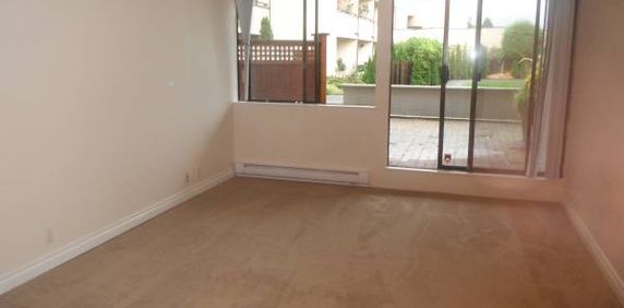 3 Bedroom/ 2 Bathroom Apartment Next to Seawall - Photo 2