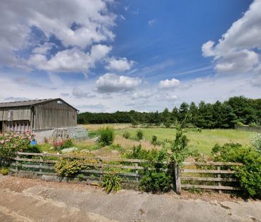 3 bedroom cottage to rent - Photo 4