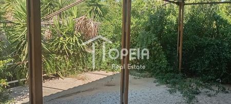 Μονοκατοικία 66 τ.μ. προς Ενοικίαση - Φωτογραφία 5