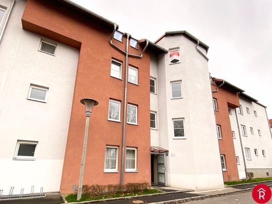 Geförderte 3-Zimmerwohnung im 1.Stock mit Loggia - Foto 1