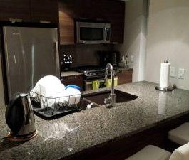 $1800 / 2br – 841ft2 – Gorgeous 2 Br Condo in Grand Central II (Coq... - Photo 6