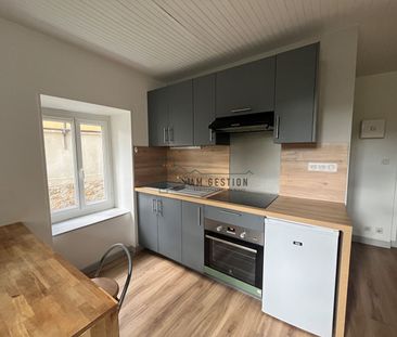 Location Appartement 1 pièce 19m² - Photo 3