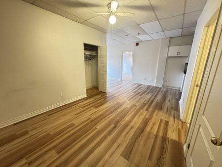 For Lease - 8 Main Street Unit# 204, Brampton, Ontario - Photo 3