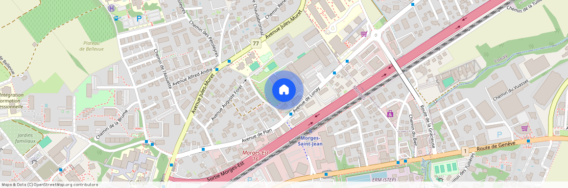 1110, Morges, Avenue De Lonay, 3