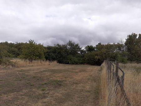 5 bedroom farm house to rent - Photo 3