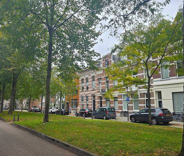 Avenue Concordia 38A 3062 LJ Rotterdam - Foto 1