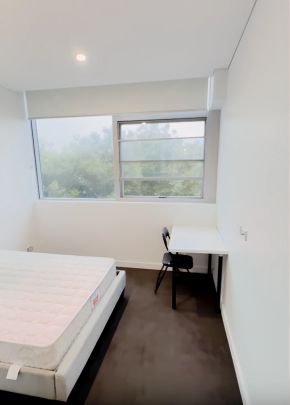 2 bed 2 bath-507 - Photo 1