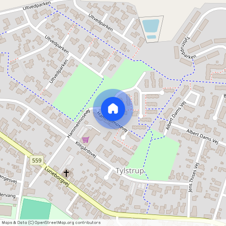 Hammelmosevej 56, 9382 Tylstrup