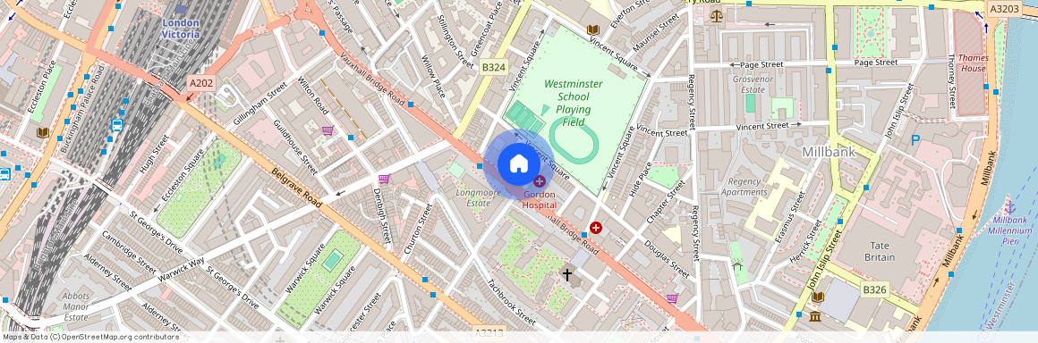 Vincent Square, Westminster, London, SW1P