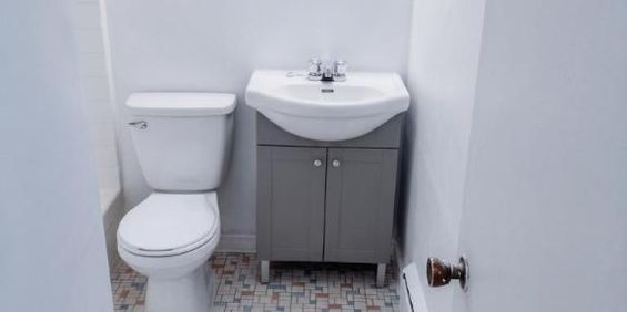 1 CH - 1 SDB - Montréal - $1,095 /mo - Photo 3