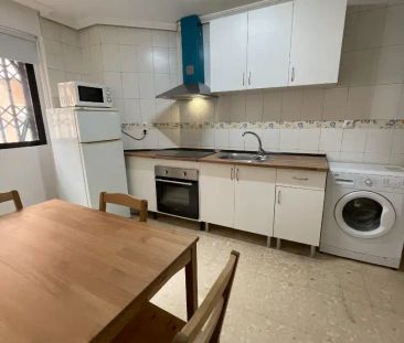 Piso de alquiler en Calle José Luján, El Palmar - Foto 1