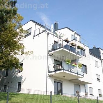 3-Zimmer-Neubauwohnung im Grünruhelage - 5 Jahre befristet - Photo 4