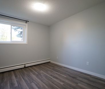 AMAZING newly reno'd Apartment in Lacombe! CATS OK! - Photo 4