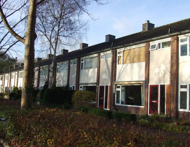 4, Valkstraat, 2162 GG, Lisse - Foto 1