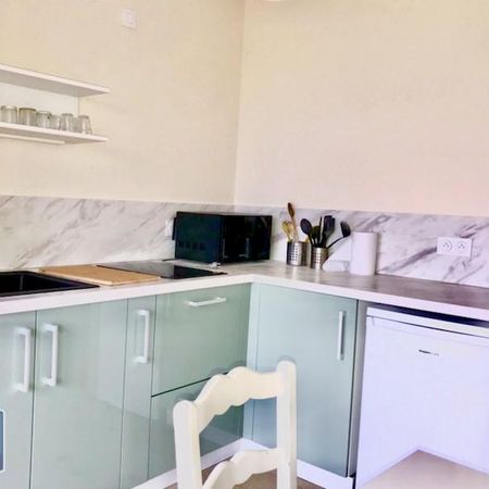 Location Appartement 1 pièce 38m² GRENOBLE 38000 - Photo 3