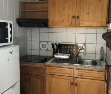 Location Appartement 1 pièce 16m² PALAISEAU 91120 - Photo 3