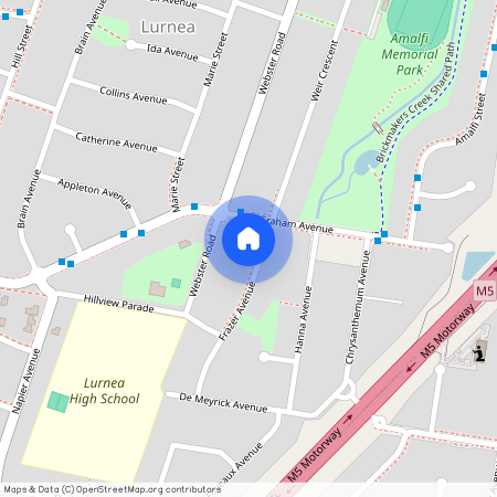 3 Frazer Avenue, NSW 2170, Lurnea