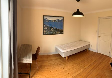 Byggmästaregatan, Lund - Photo 5