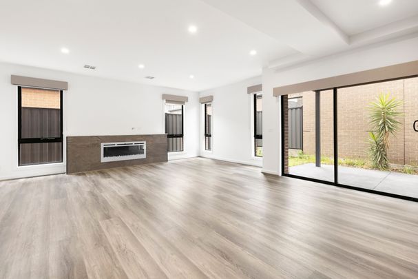 Spacious & Modern - Photo 1