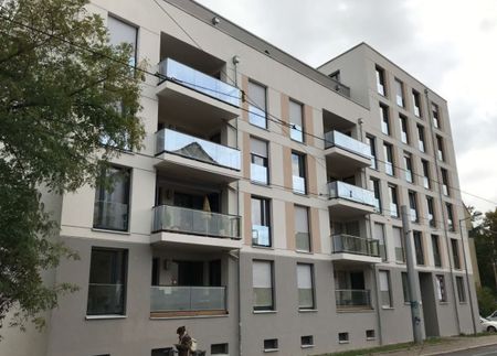 2 MONATE KALTMIETFREI!!! Großzügige 3-Raumwohnung mit Terrasse in der Leipziger Südvorstadt - Foto 5