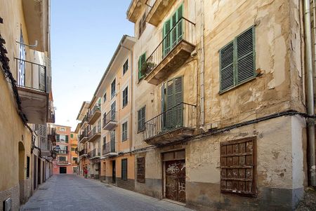 3A C. del Carme, Palma de Mallorca, Balearic Islands 07003 - Photo 2