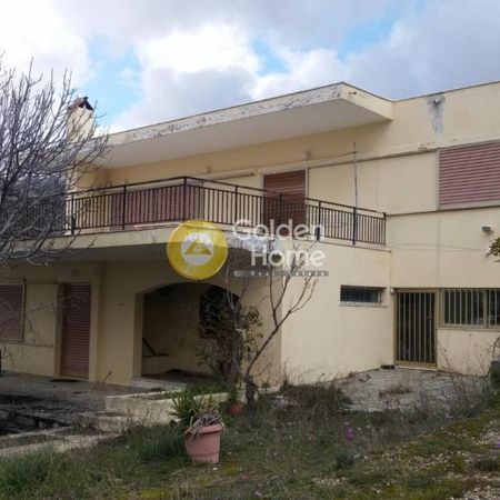 Ενοικίαση, Κατοικία, Μονοκατοικία - Φωτογραφία 4