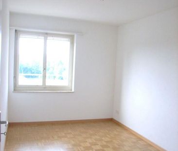 schöne, helle 3 Zimmerwohnung mit toller Aussicht - Photo 5