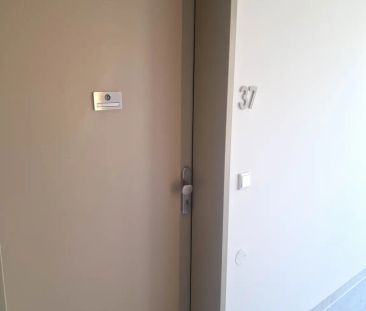 NEU - Erstbezug! 2-Zimmer-Wohnung - Photo 3