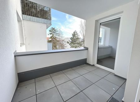 3-Zimmer in Hofruhelage - unschlagbarer Preis - Absolute Ruhelage - Photo 4