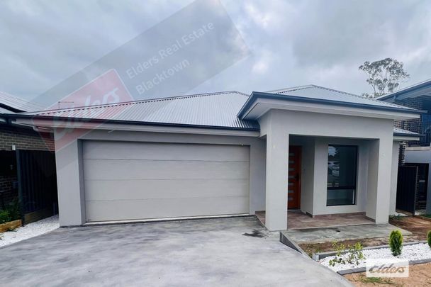 78 Brassil Ave Motorway - Photo 1