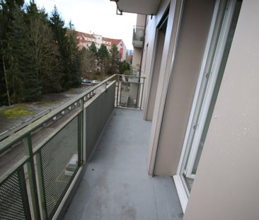 Charmant logement de 1½ pièces entouré de verdure, à deux pas de la... - Photo 2