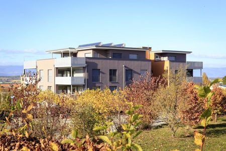 Appartement de 3.5 pièces au rez-de-chaussée - Photo 3