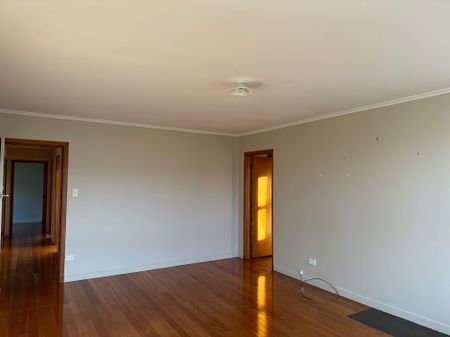 19 Hall Road, Onewhero - Photo 3