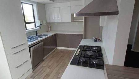 3 Bedroom house + 1 Bedroom Apartment Spreydon - Photo 2