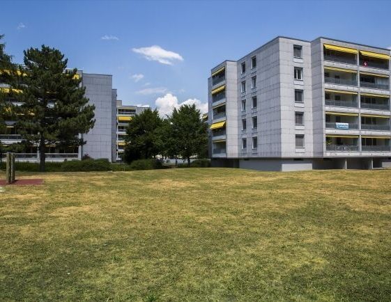 Central studio sought - Photo 1