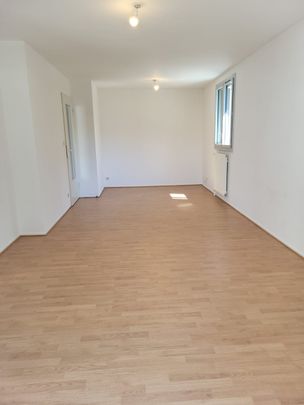 3 PIECES CHAMBERY LAURIER - Photo 1