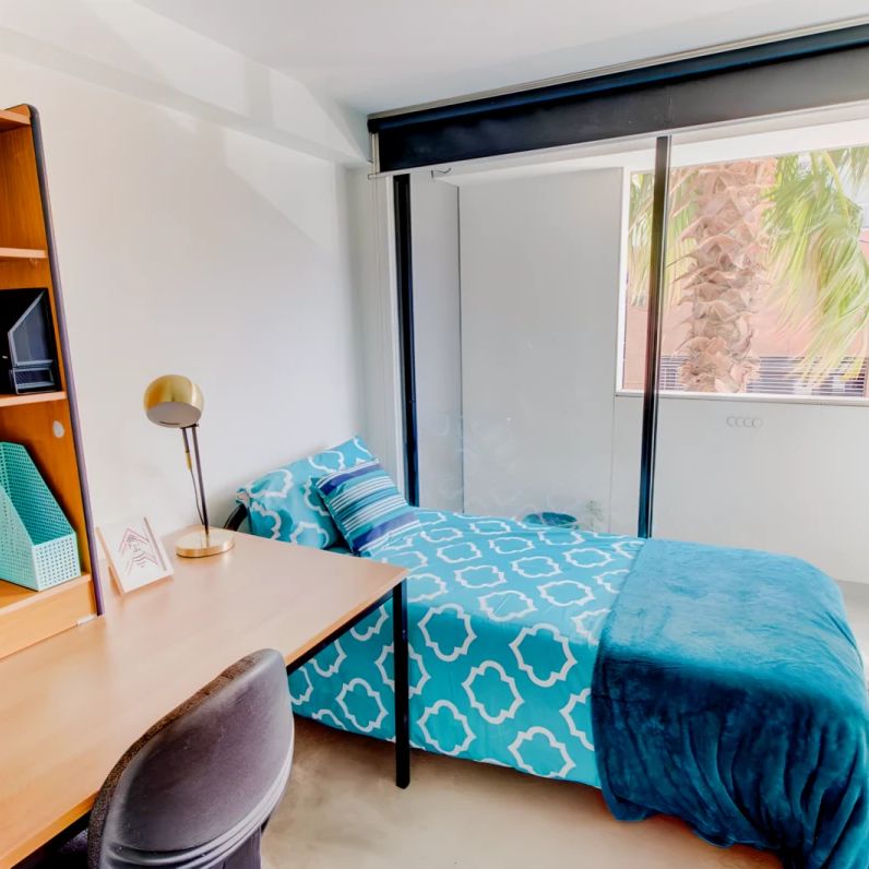 Standard Studio - Photo 1