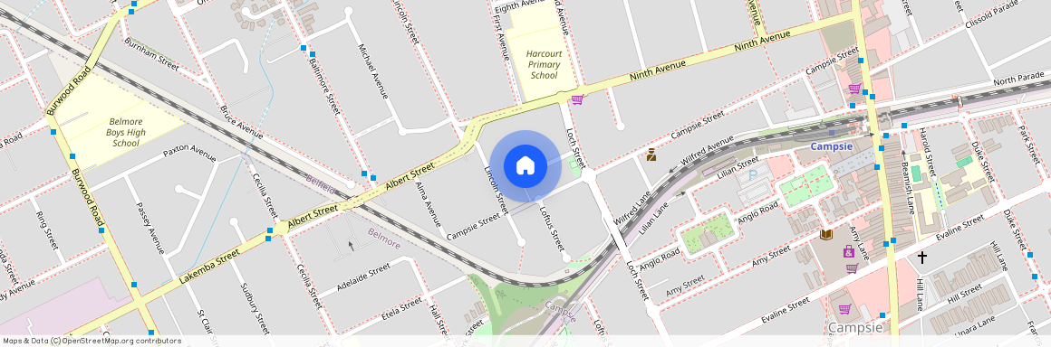 4/131A Campsie Street, NSW 2194