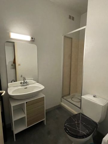 Location Appartement 1 pièce 27m² ANGERS 49100 - Photo 4