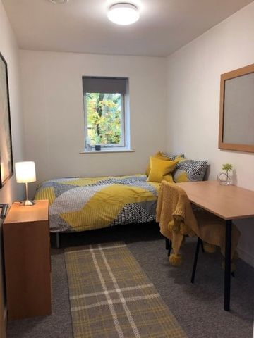 Room in a Shared Flat, Bevois Valley Road, SO14 - Photo 2