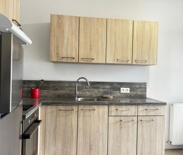 Location Appartement 2 pièces 29m² DAX 40100 - Photo 3