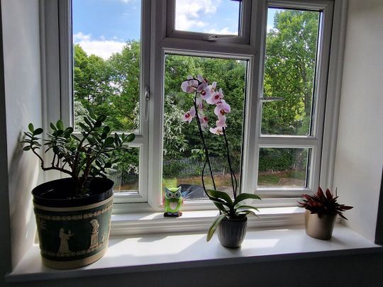 Room in a Shared Flat, Alexandra Road, N10 - Photo 1