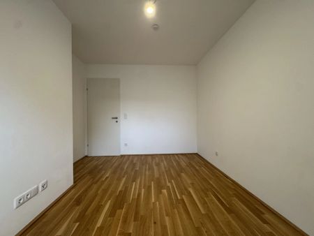 3-Zimmer Neubau! Angenehm, ruhige Lage nahe dem Riverside! JETZT ANFRAGEN! - Photo 2