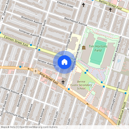 26 Lottridge Street, Hamilton