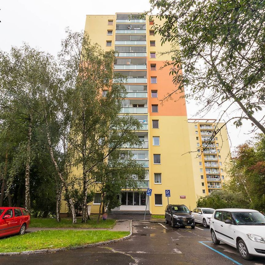 Pronájem bytu 1+kk v osobním vlastnictví 33 m², Praha 8 - Kobylisy - Photo 1