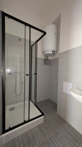 Nájem 2+1, ul. Bělohorská 1654/108, BJ 11, 67 m - Photo 4