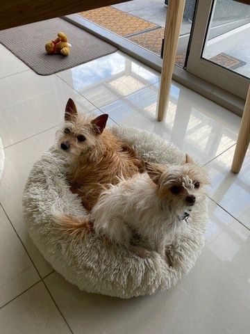 Picnic Point - Photo 3