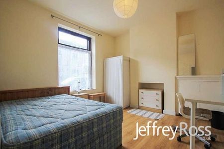 Thesiger Street, Cathays, CF24 - Photo 4