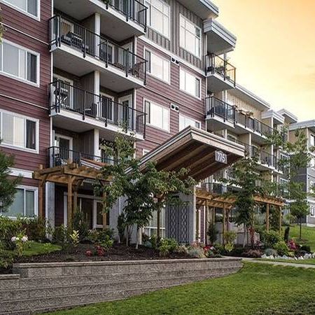 1bd 1ba, Refrigerator, In Nanaimo - Photo 1